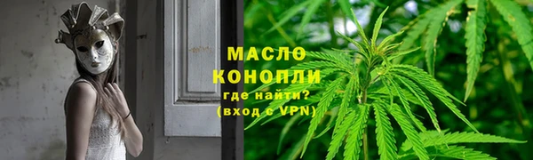 прущие крисы Горняк
