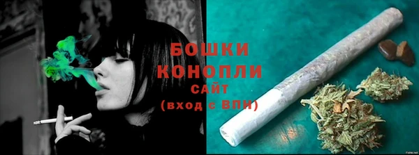 прущие крисы Горняк