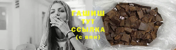 мдпв Горно-Алтайск