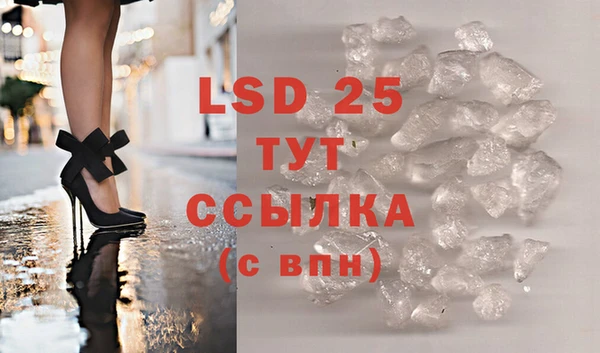 PSILOCYBIN Гусиноозёрск