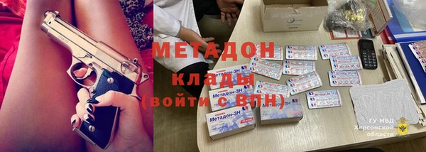 индика Гусев