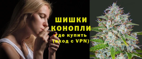 прущие крисы Горняк