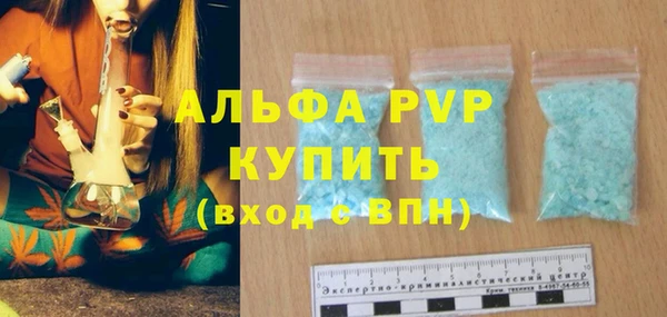 шишки Гусь-Хрустальный