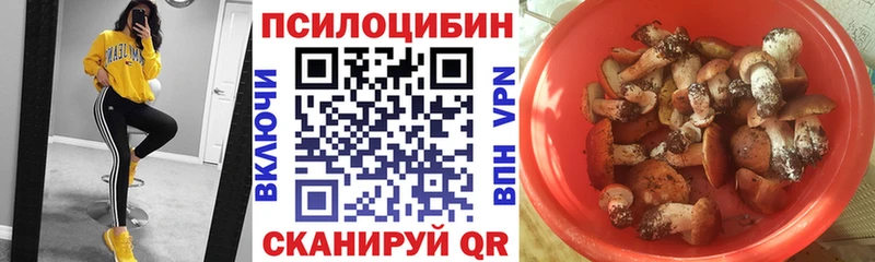 купить  цена  Кострома  Галлюциногенные грибы Psilocybine cubensis 