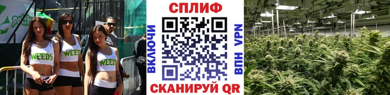 Бошки марихуана план МЕГА зеркало нарко площадка как зайти Кострома